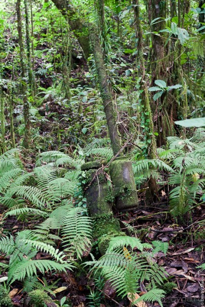 Kosrae, Micronesia (2/2)