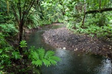 Kosrae, Micronesia (2/2)