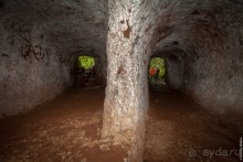 Kosrae, Micronesia (2/2)