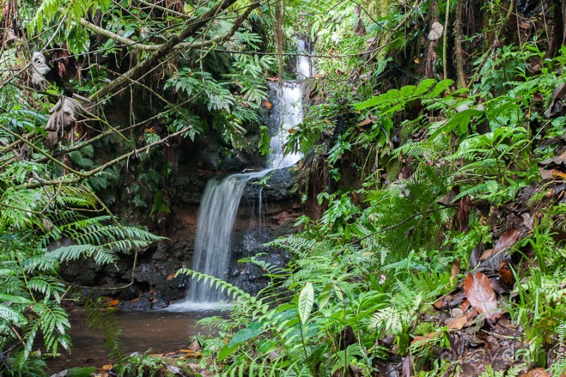Kosrae, Micronesia (2/2)