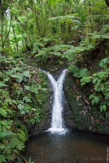 Kosrae, Micronesia (2/2)