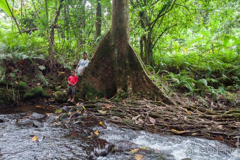 Kosrae, Micronesia (2/2)