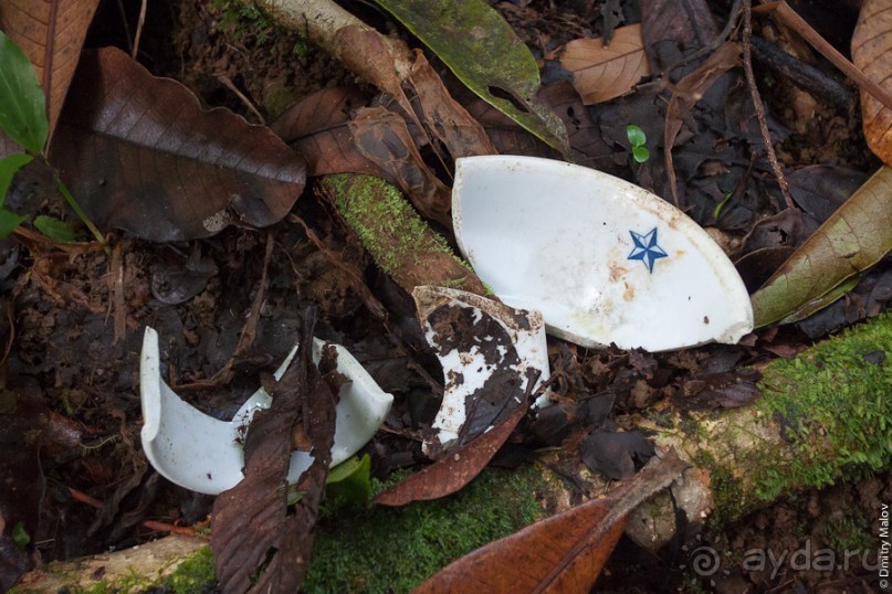 Kosrae, Micronesia (2/2)