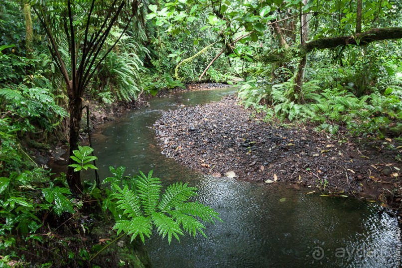 Kosrae, Micronesia (2/2)