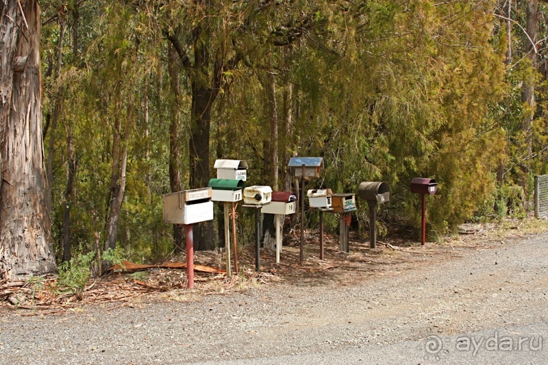 Австралия (Тасмания)