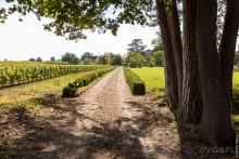 По Бургундии на барже (2/3)