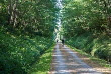 По Бургундии на барже (2/3)