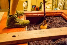 По Бургундии на барже (2/3)