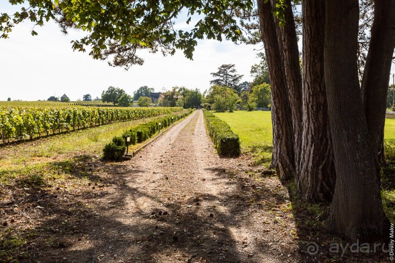 По Бургундии на барже (2/3)