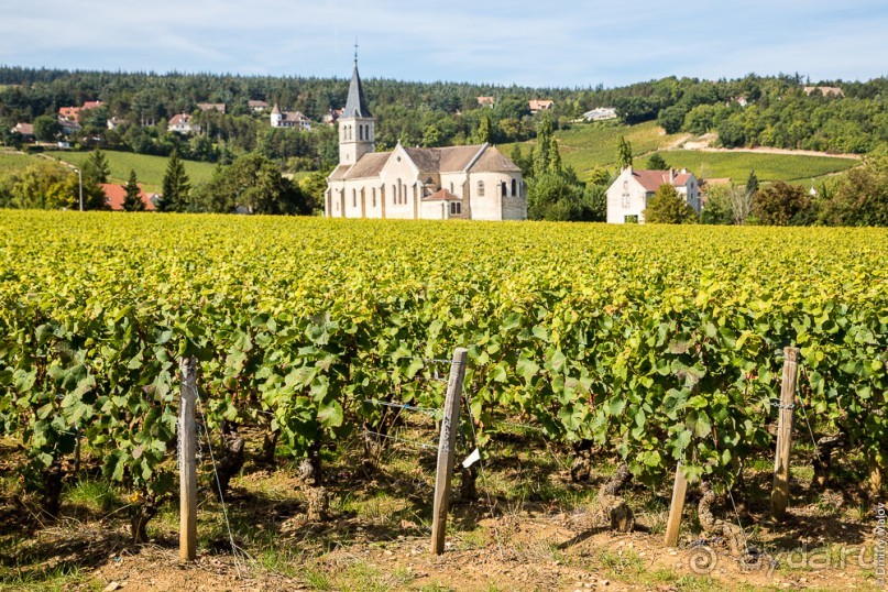 По Бургундии на барже (2/3)