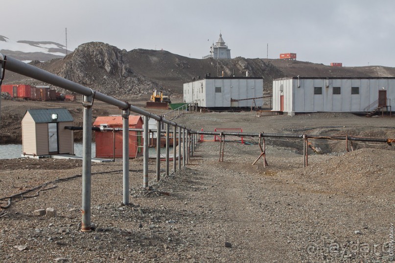 Антарктида: Полярники!