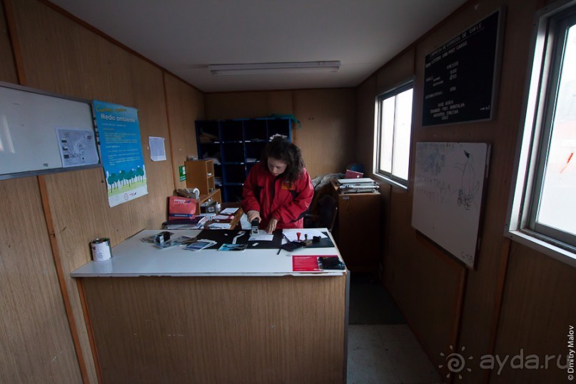 Антарктида: Полярники!