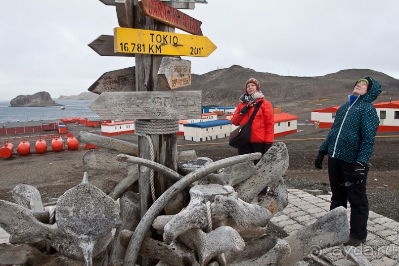 Антарктида: Полярники!