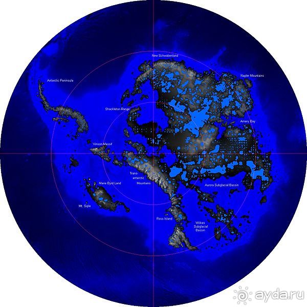 Антарктида: Полярники!