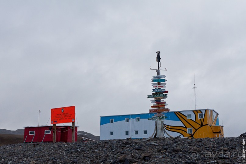 Антарктида: Полярники!