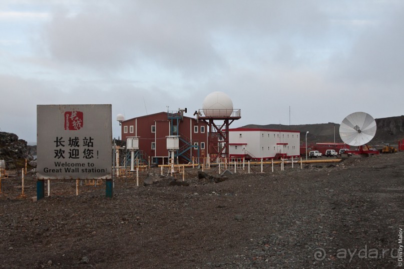 Антарктида: Полярники!