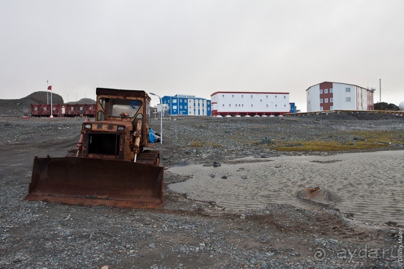 Антарктида: Полярники!