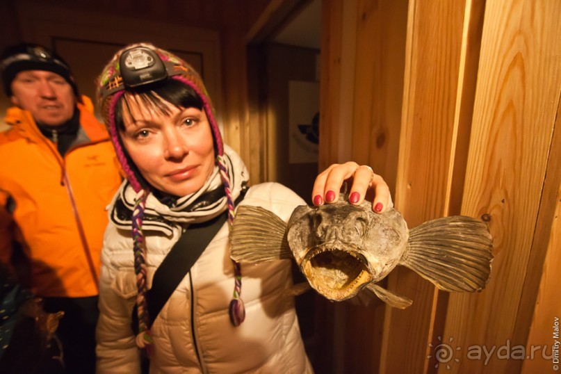 Антарктида: Полярники!