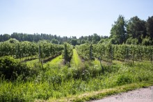 Аландские острова (3/3)