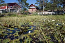 Аландские острова (3/3)