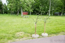 Аландские острова (3/3)