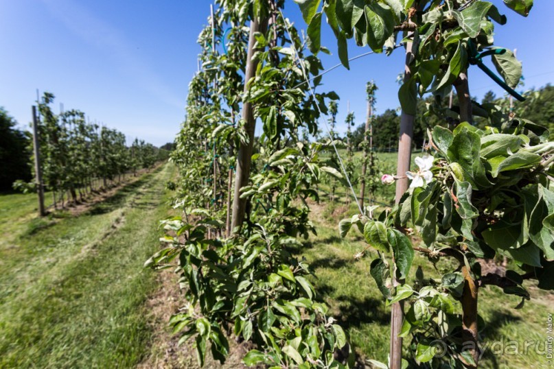 Аландские острова (3/3)