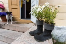 Аландские острова (1/3)