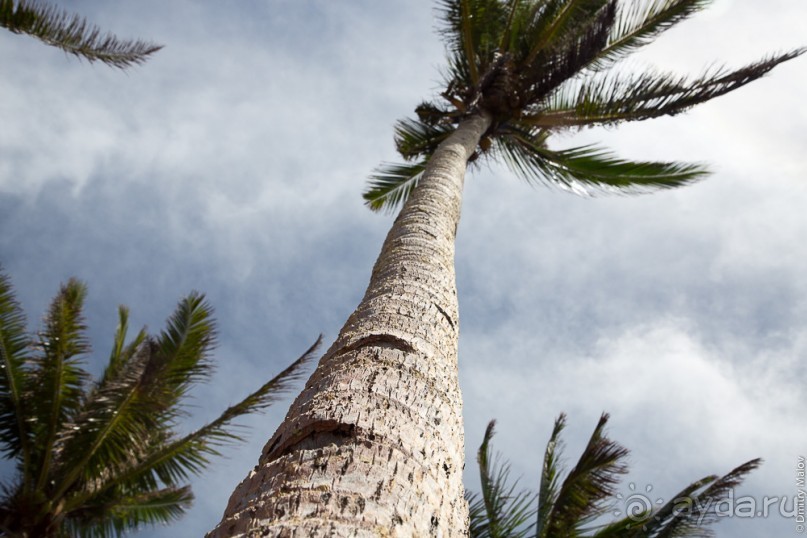 Уоллис и Футуна — Уоллис (2/2)