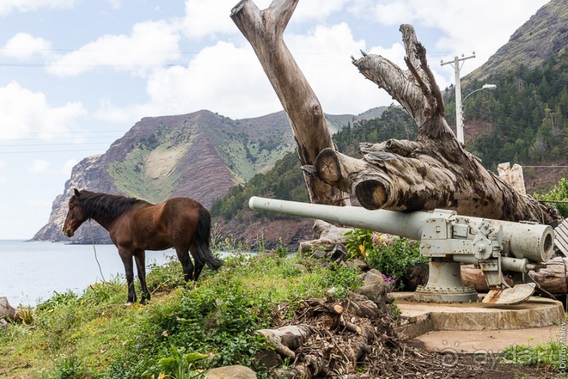 Остров Робинзона Крузо (1/3)