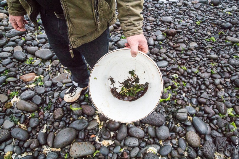 Остров Робинзона Крузо (1/3)