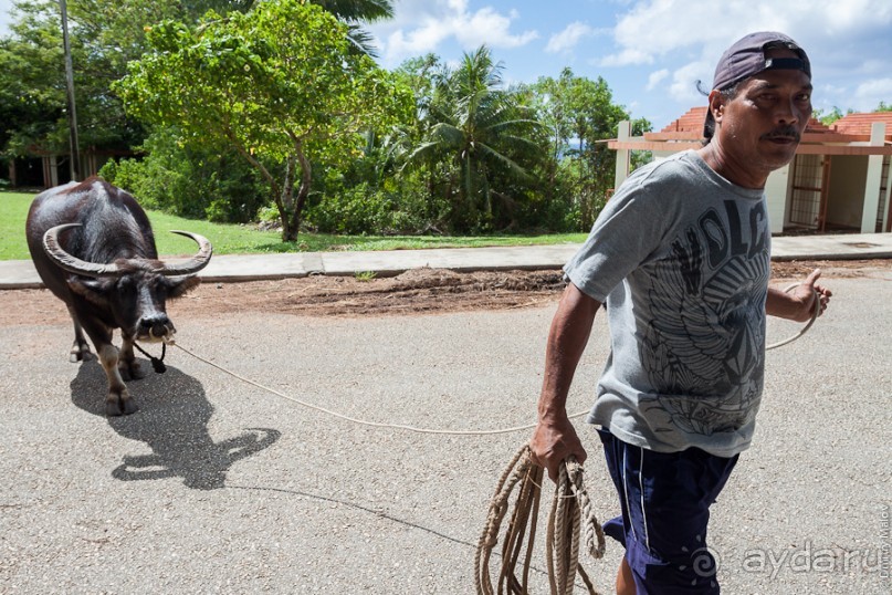 фото Аляски