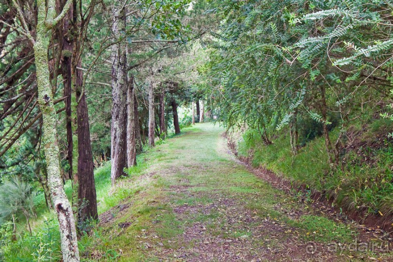 Остров Святой Елены, южный Атлантический Океан (2/5)