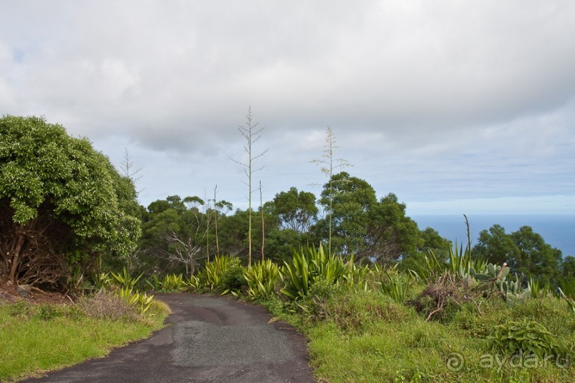Остров Святой Елены, южный Атлантический Океан (5/5)
