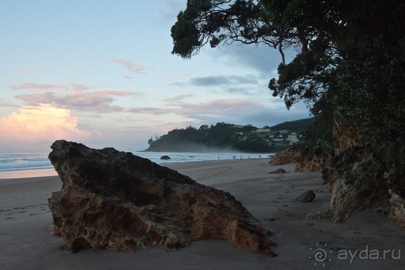 Новая Зеландия: Веки живи - век учись