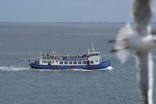 Голландия, остров Тексел