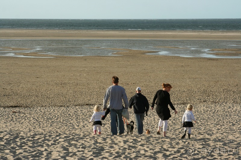 Голландия, остров Тексел