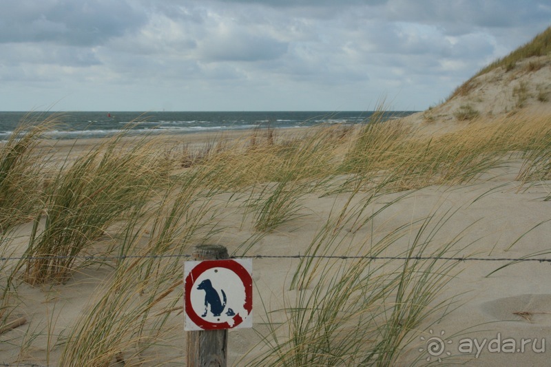 Голландия, остров Тексел