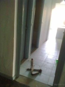 фото Chiraz Club