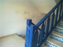 фото Chiraz Club