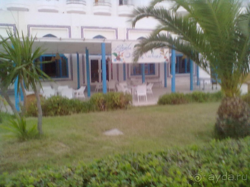 Не ходите дети в Африку гулять!