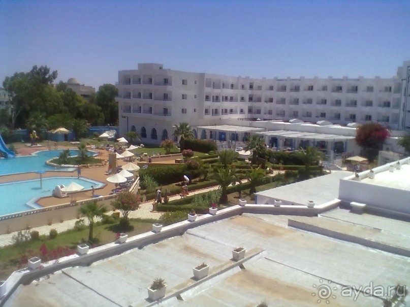 Не ходите дети в Африку гулять!