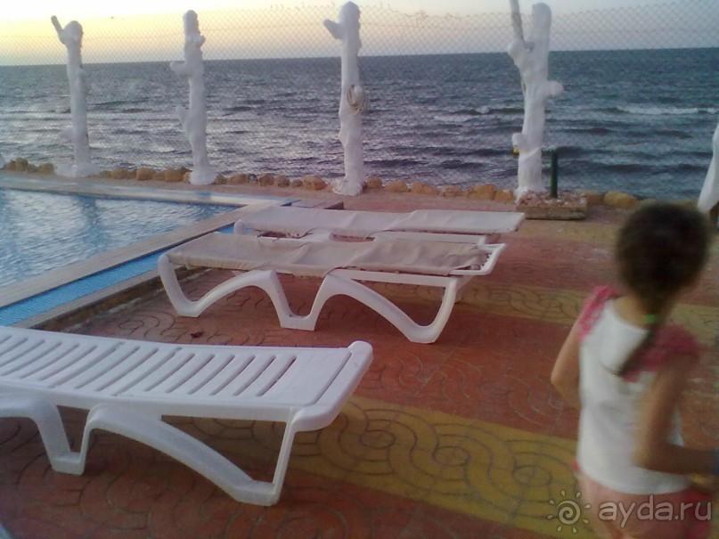 фото Chiraz Club