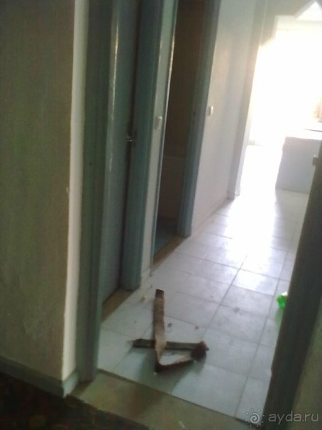 Не ходите дети в Африку гулять!