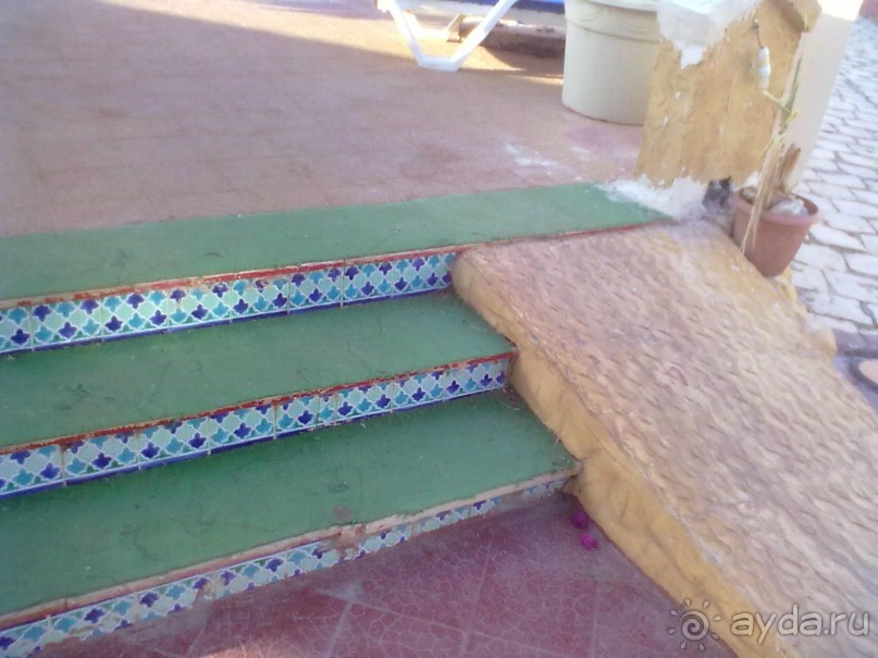 Не ходите дети в Африку гулять!