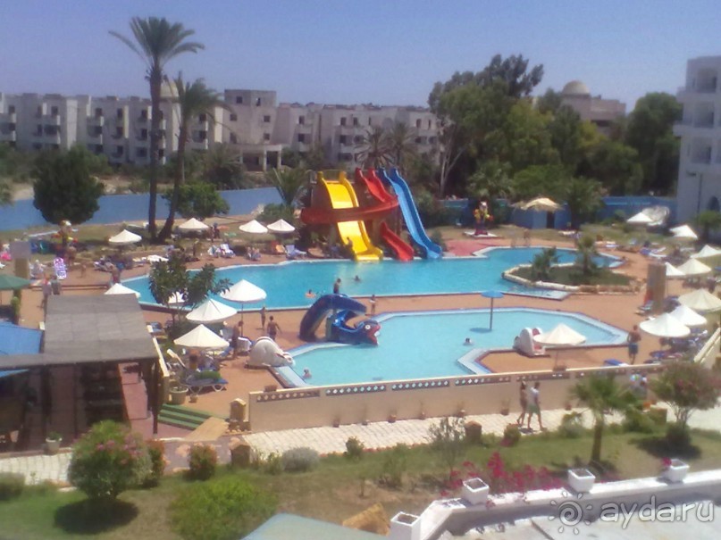 Не ходите дети в Африку гулять!