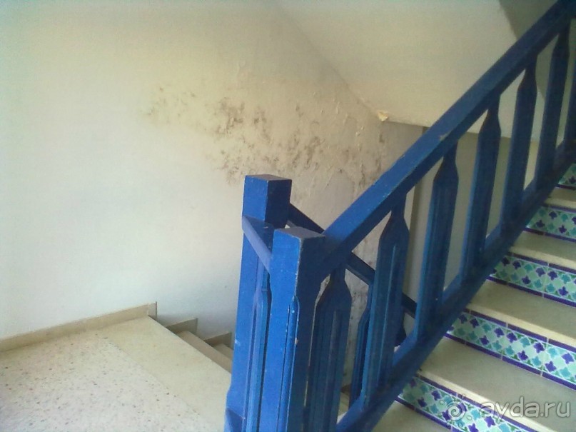 Не ходите дети в Африку гулять!