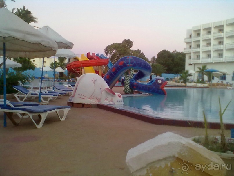 Не ходите дети в Африку гулять!