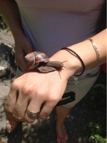 Безумная Армения