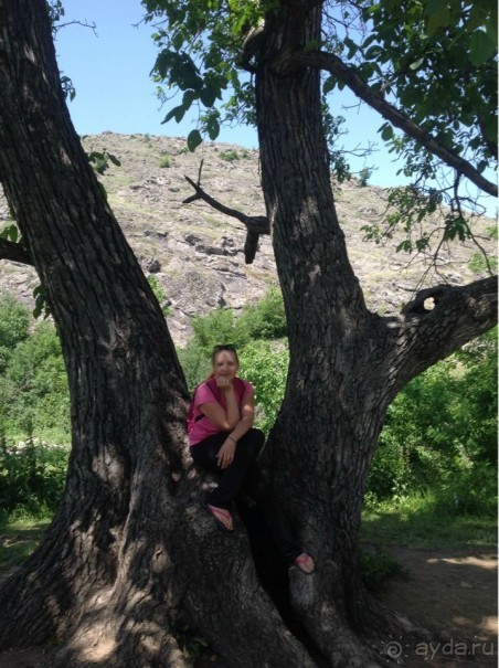 Безумная Армения