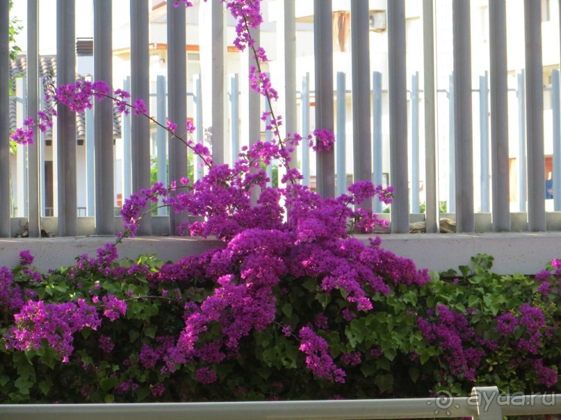 За забором ж/д станция